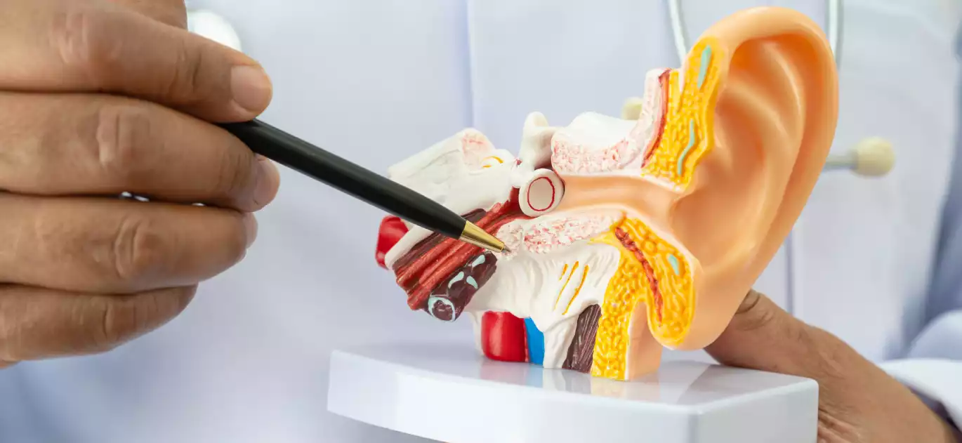 ENT Surgery Services