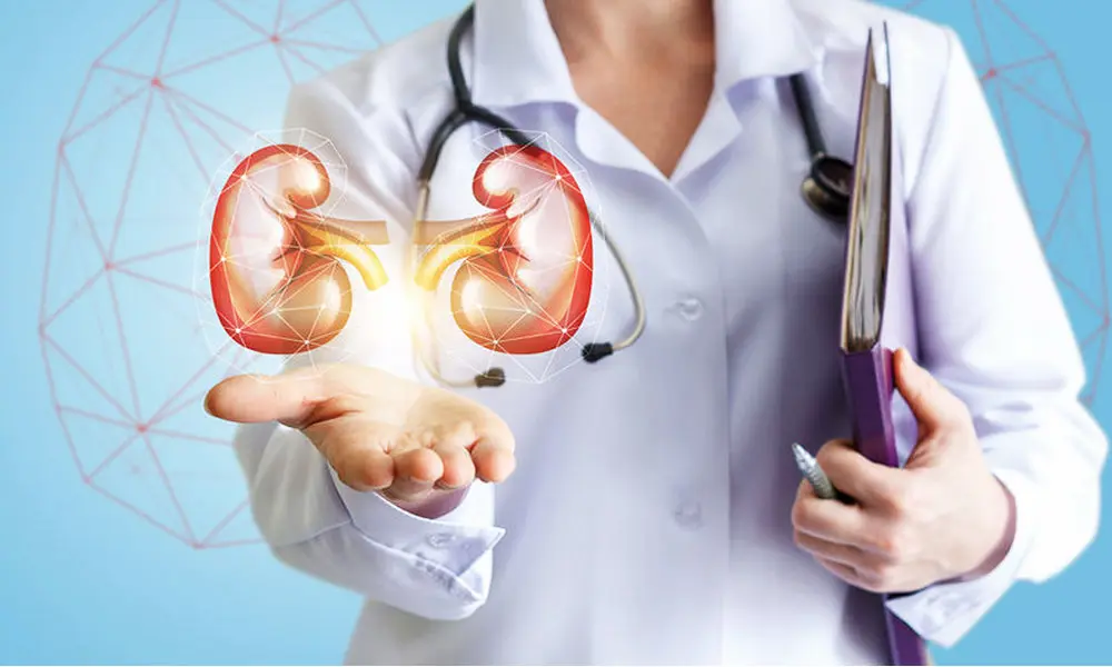 Nephrology Kidney Care Services