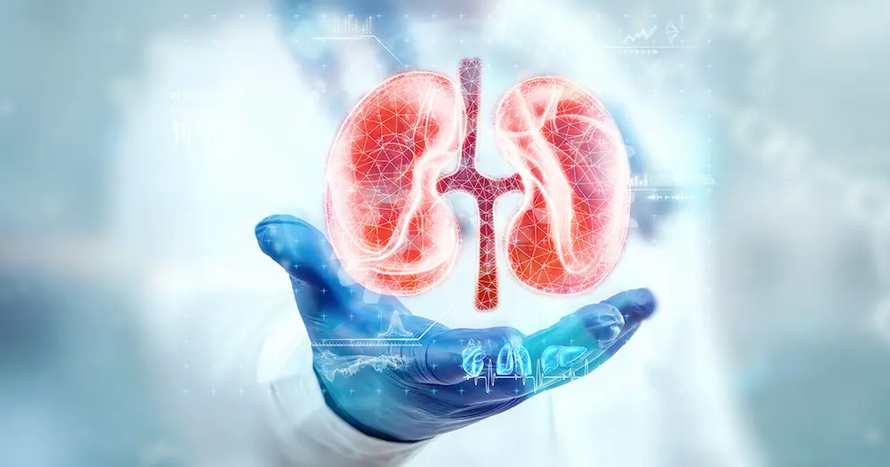 Urology Services